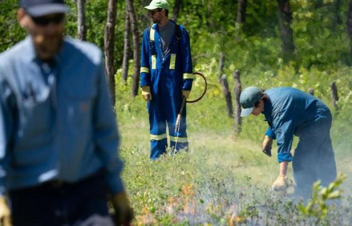 Retour sur 2024 en images au Manitoba