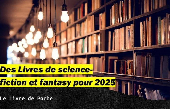 Livres de science-fiction et fantastique pour 2025 : Le Livre de Poche | par Nicolas Winter