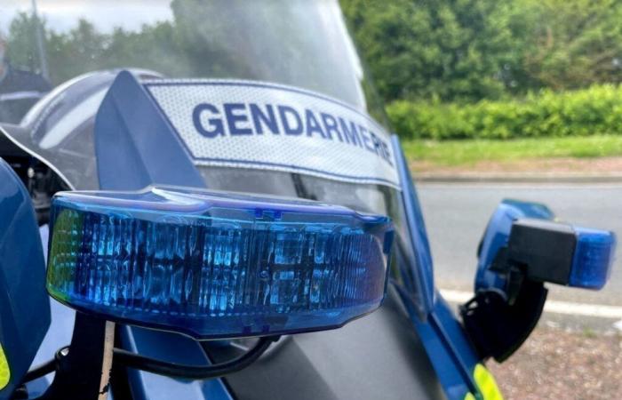 un camionneur lituanien attaque 7 personnes sur les aires de repos de l’autoroute A4