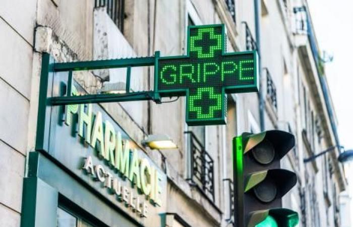 L’épidémie de grippe s’est intensifiée en France avant Noël