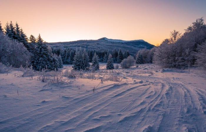 -21,3°C à Reculfoz et -19,5°C à La Chaux, retour sur ce réveil glacial dans le Massif du Jura • Météo Franc-Comtoise