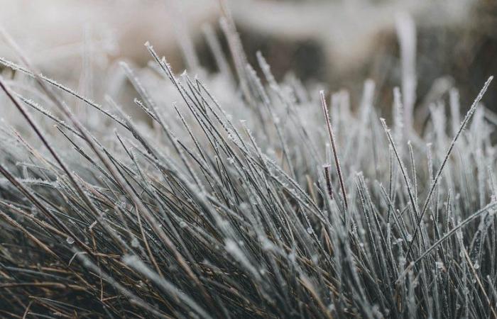 -8,2°C, -6,5°C, -5°C… grosses gelées en Aveyron ce vendredi matin, où a-t-il fait le plus froid ?