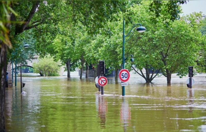 Ouragans, inondations, incendies… les catastrophes naturelles ont causé 310 milliards de pertes économiques en 2024