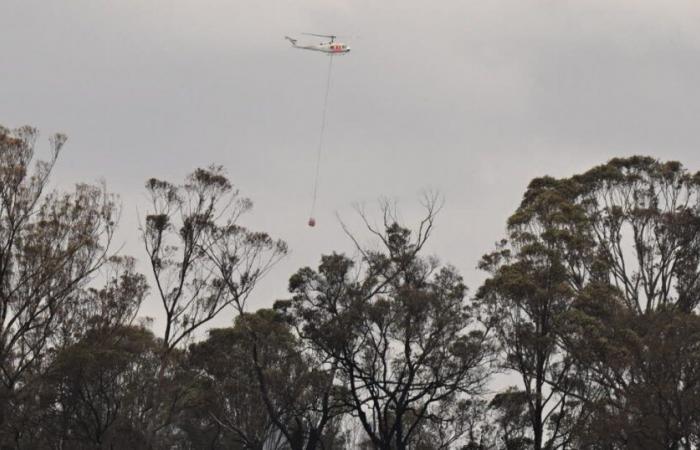 Australie. Un incendie « de la taille de Singapour » se propage dans le sud-est du pays