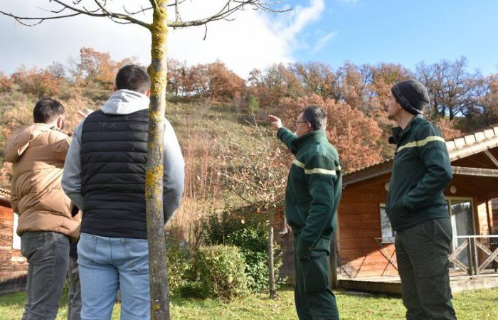 Obligation légale de débroussaillage, une démarche d’épandage en Aveyron