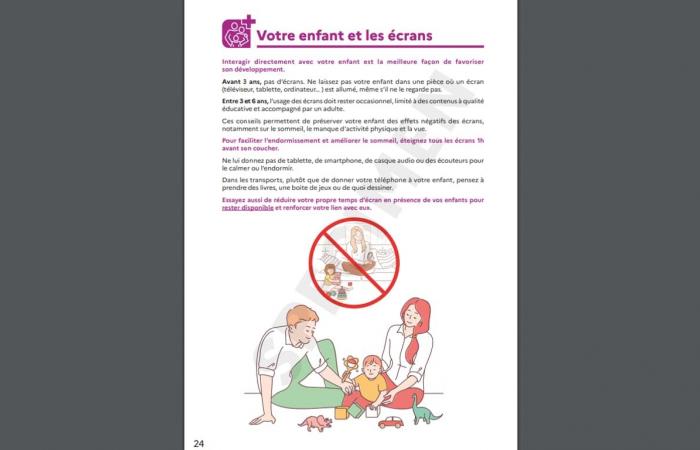 Lutte contre les violences, dépistages, examens obligatoires… À quoi ressemblera le nouveau carnet de santé ?