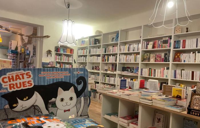 la librairie Mon Chat Pitre lance sa franchise librairie ronronnement