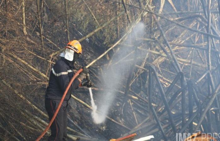 L’Etat déploie « tous les moyens pour maîtriser les incendies de forêts »