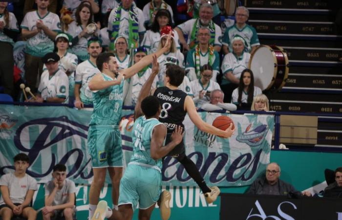 Basketball. Pro B – Elan Béarnais: the Palois were great