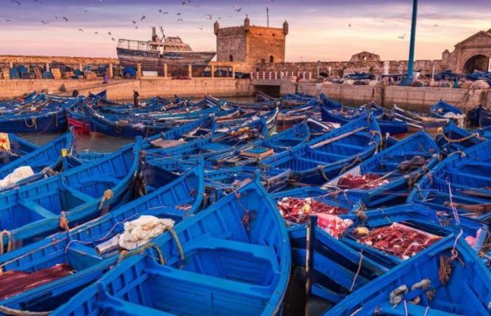 Le point sur les investissements à Essaouira en 2024