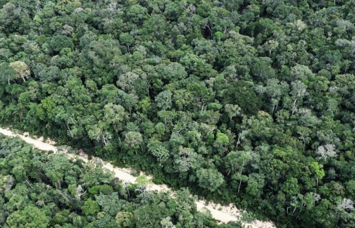 au Brésil, une communauté indigène isolée d’Amazonie a été photographiée pour la première fois