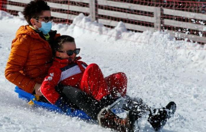 Loisirs. Spectacle de patinage, spectacle équestre, exposition pour tintinophiles… Neuf idées de sorties ce week-end en Franche-Comté