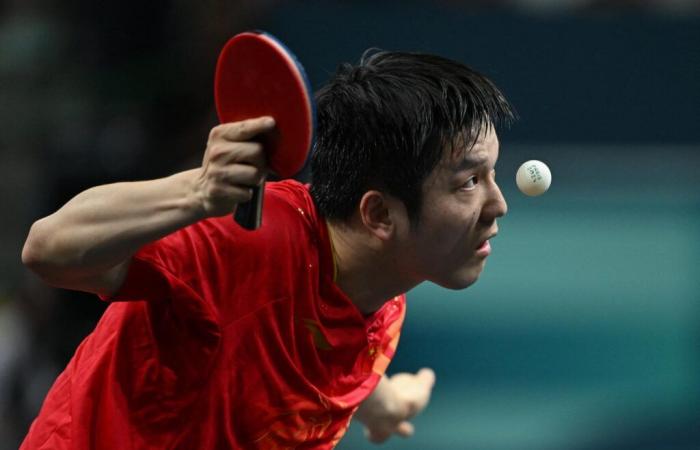 Les champions olympiques Chen Meng et Fan Zhendong quittent le circuit mondial