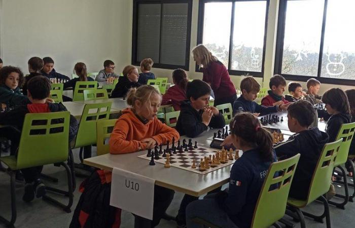 Les échecs des jeunes ont désigné les champions du Lot