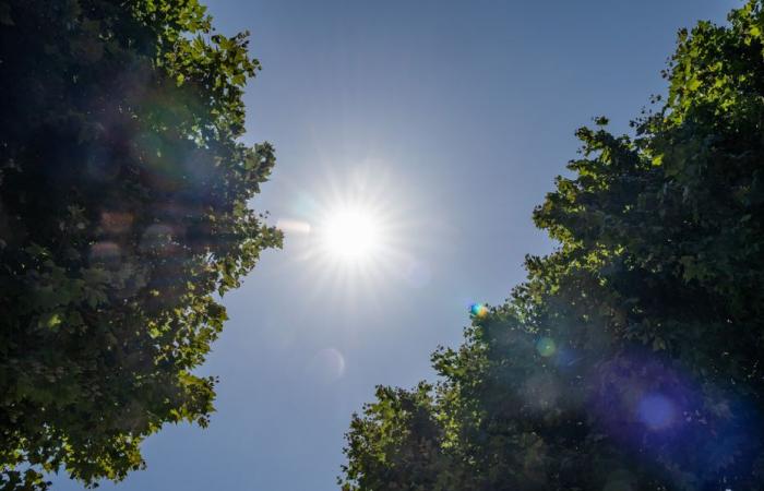 comment le soleil permet aux commerçants de cette station balnéaire de s’approvisionner en plein hiver