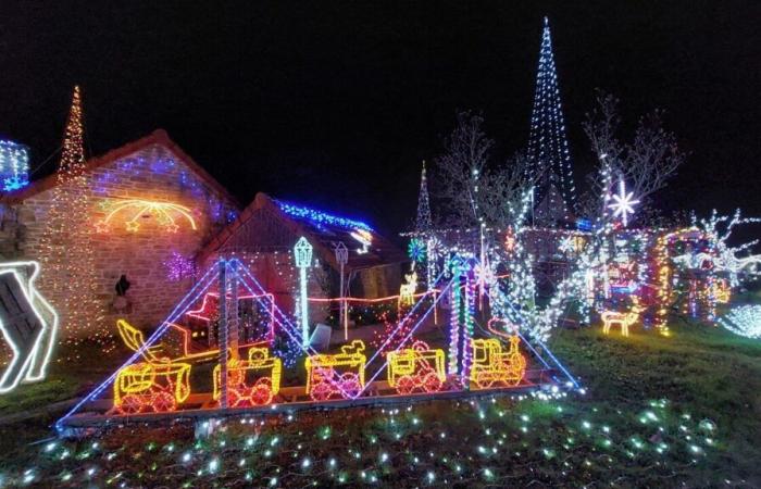 Dans ces deux communes de Loire-Atlantique, voici deux maisons illuminées et 100% dans l’esprit de Noël