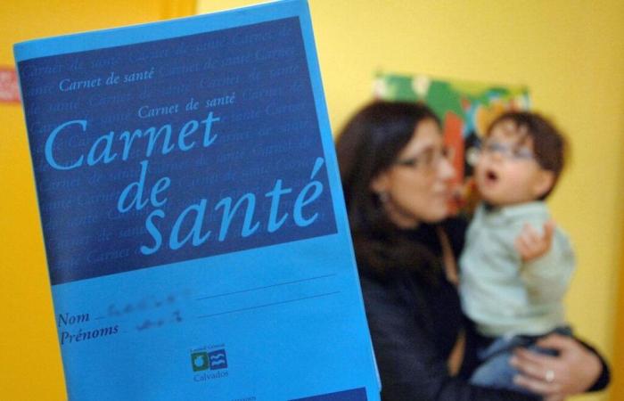 Vidéo. Un nouveau carnet de santé au 1er janvier 2025 : quoi de neuf ?