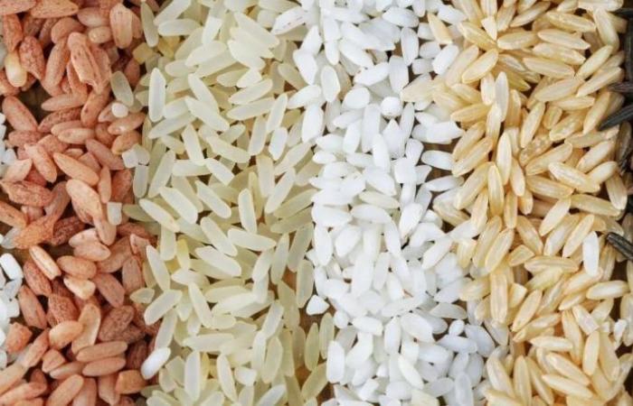 Les taxes sur les importations de riz seront suspendues à partir de 2025