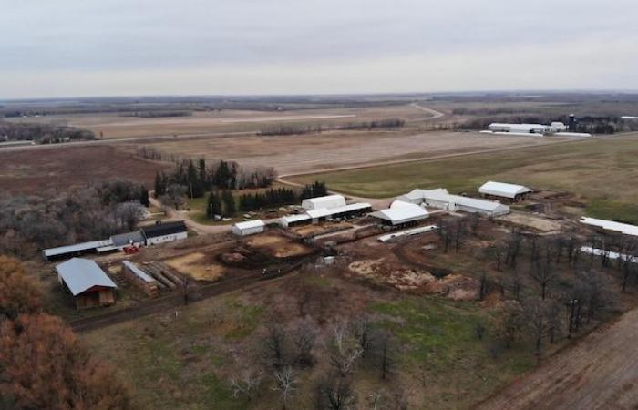 Le temps des Fêtes, parfois « sombre » dans les champs du Manitoba