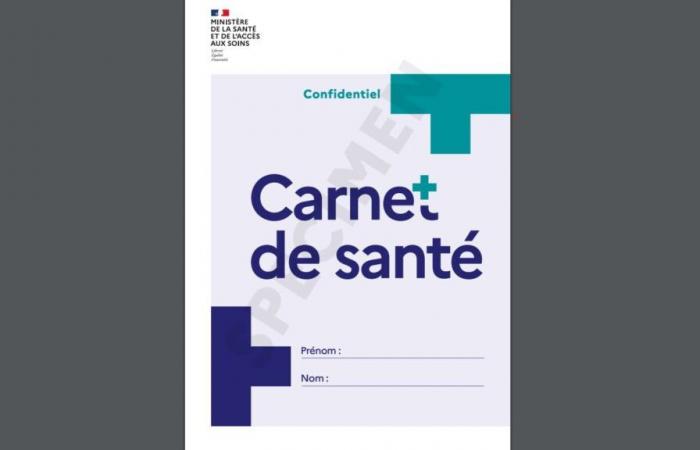 Lutte contre les violences, dépistages, examens obligatoires… À quoi ressemblera le nouveau carnet de santé ?