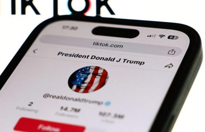 Donald Trump demande à la Cour suprême de suspendre la loi menaçant TikTok d’interdiction