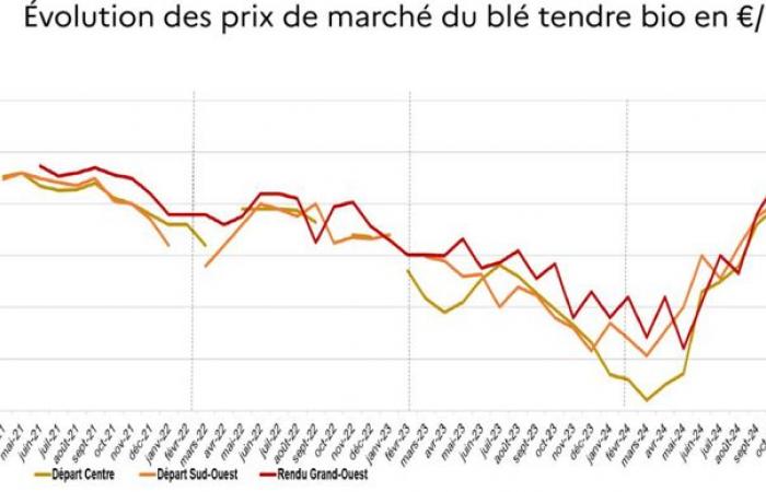 Pourquoi cette hausse des prix du blé tendre bio ?