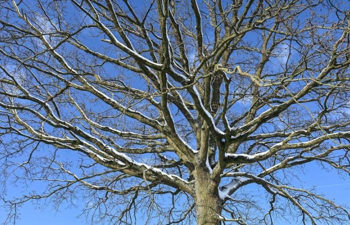 quel temps est prévu en Occitanie et en France