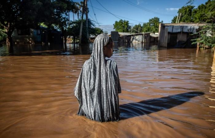 Le réchauffement climatique a amplifié les catastrophes naturelles en 2024