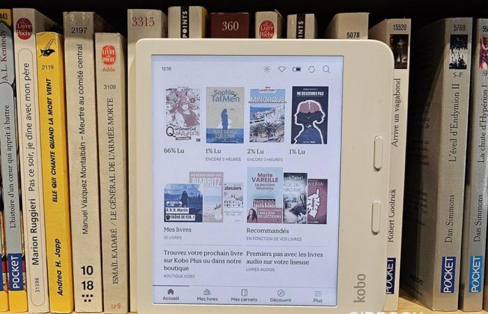 Le Top des lectures numériques sur Kobo en 2024 en France