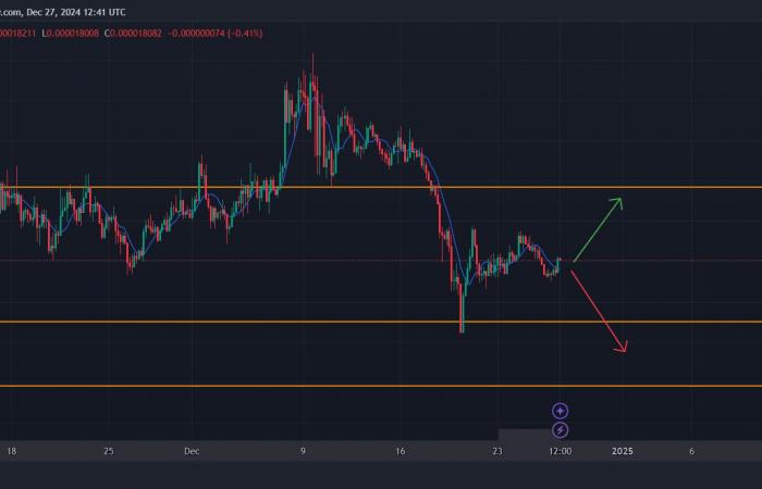 PEPE Coin gagne 23% en une semaine, mais un risque majeur se profile