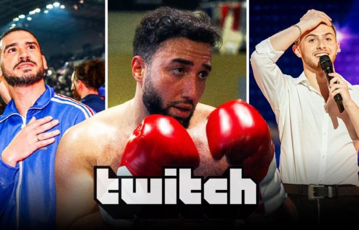 Top 100 des plus grandes audiences sur Twitch 2024