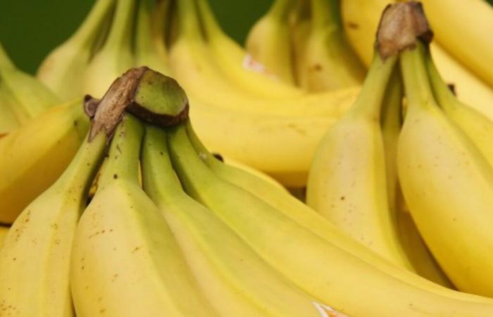 Comment la banane est devenue le fruit préféré des Français