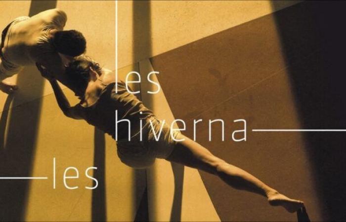 Les Hivernales, a dance festival without borders in Vaucluse from January 30, 2025