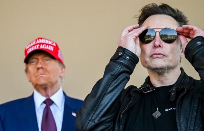 Elon Musk va-t-il devenir une nuisance pour Donald Trump ?