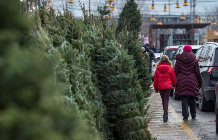 Voici comment se débarrasser de votre sapin de Noël à Montréal