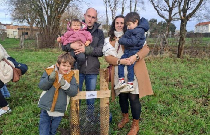 Dans cette commune de Loire-Atlantique, dix-huit bébés nés en 2023 ont leur propre arbre