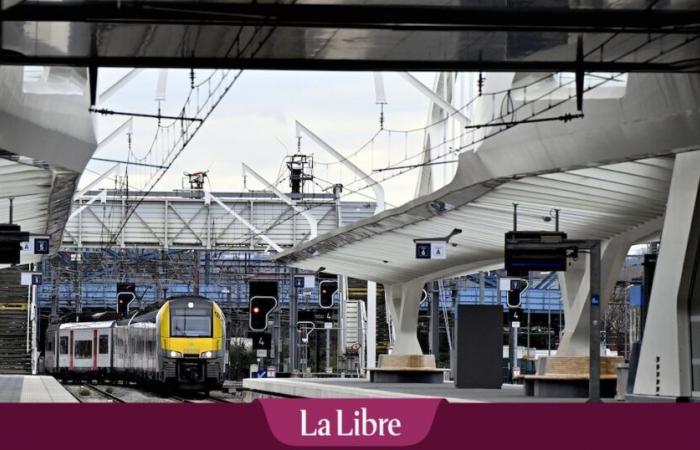 Le Comité consultatif des voyageurs ferroviaires s’inquiète de l’impact des trains internationaux sur le réseau belge