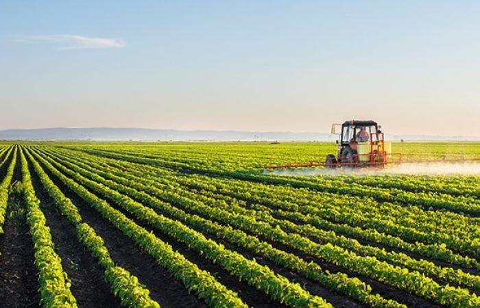 L’agriculture marocaine en pleine résilience – Aujourd’hui le Maroc