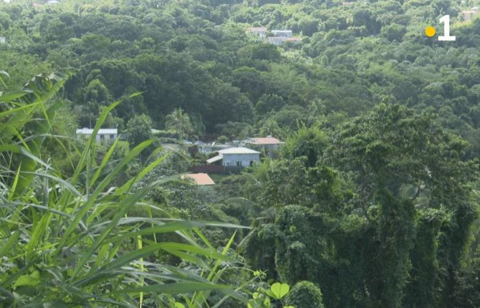 Un homme, kidnappé par sa mère depuis des décennies, est retrouvé mort dans une maison de La Trinité