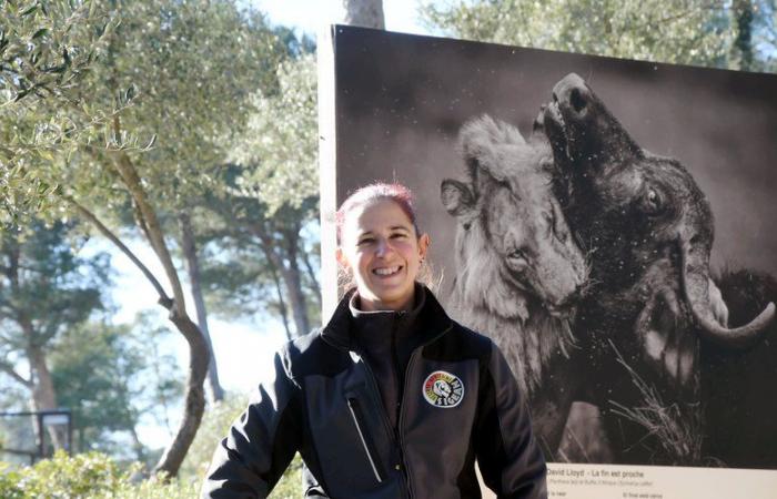 Avec « Wild Savannah », les plus belles photos animalières du monde sont à la Réserve Africaine de Sigean