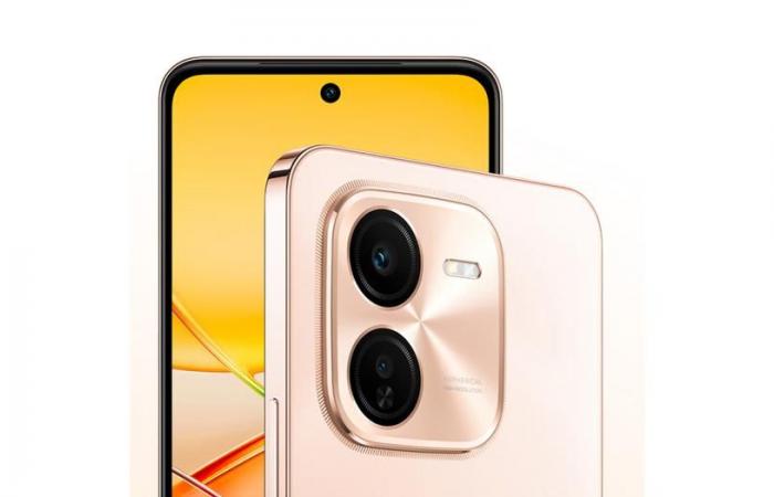 Vivo a dévoilé le smartphone économique Vivo Y200+ 5G