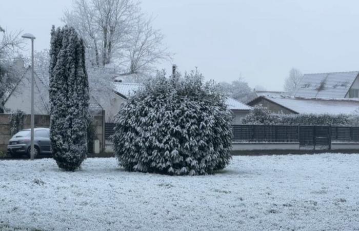 quel est ce phénomène observé en Seine-et-Marne ?