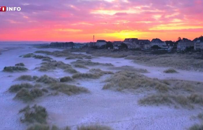 Temps gris pour les uns, soleil pour les autres… les prévisions de Météo-France jusqu’à début 2025