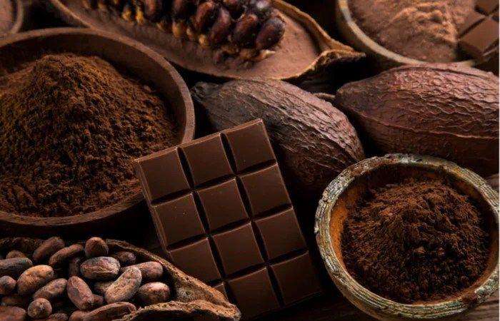 Le chocolat noir, un allié inattendu contre le cancer de la bouche – Consonews