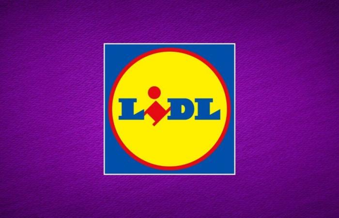 Lidl se surpasse et fait sensation avec cette offre de batterie externe