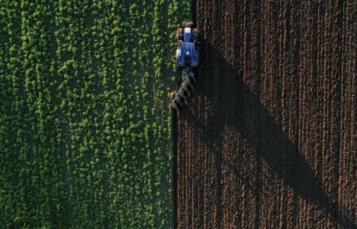 une grande partie des sols agricoles polluée par les microplastiques