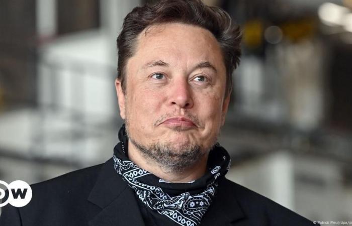 Elon Musk soutient l’AfD d’extrême droite dans un éditorial allemand – DW – 28/12/2024