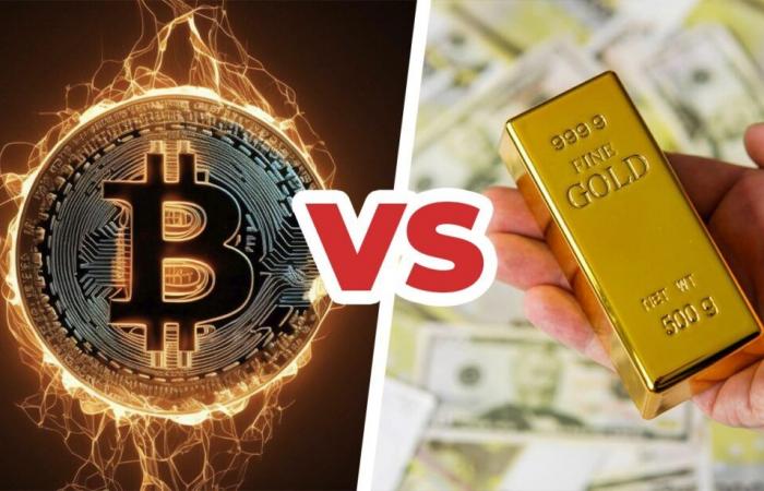 Bitcoin ou OR ? Voici la performance d’un portefeuille qui a investi 50$ par semaine depuis 2018