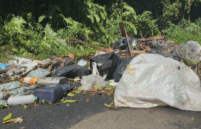 Des particuliers jettent régulièrement leurs déchets dans un espace naturel protégé de Tivoli à Fort-de-France