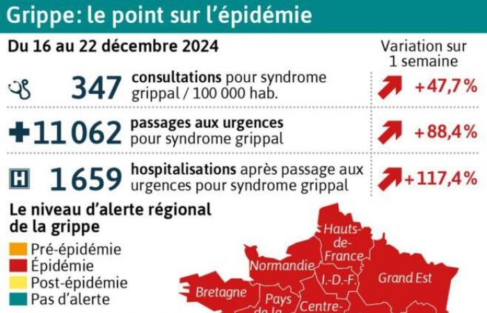 CARTE. Pic d’épidémies de grippe et de bronchiolite partout en France, pas de gastro pour le réveillon